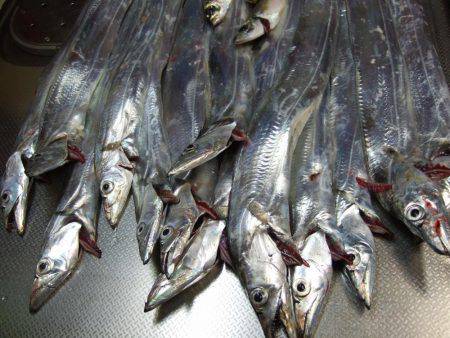 タッチー久しぶり！