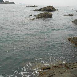 うねりの中、磯でアオリイカのヤエン釣り