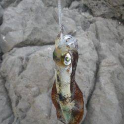 満月の大潮には