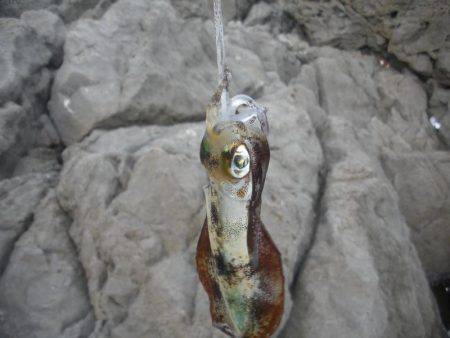 満月の大潮には