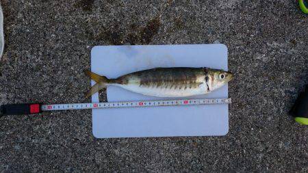 戻ってきたかな？