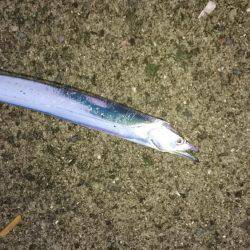 渋かった‼刀狩り2