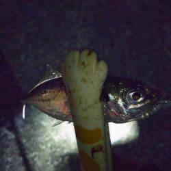 久しぶりにホームで