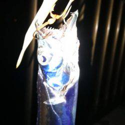 エギングのつもりが