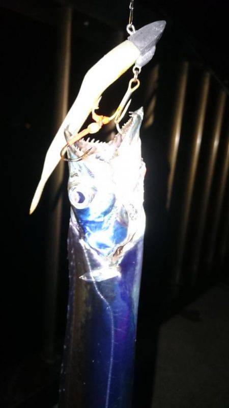 エギングのつもりが