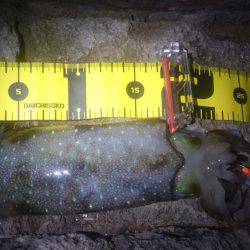 台風が来る前に