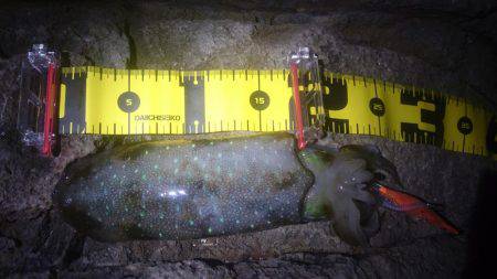 台風が来る前に