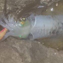 久しぶりの土曜日休み