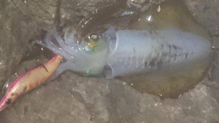 久しぶりの土曜日休み