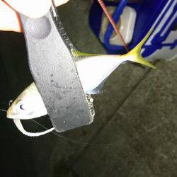 エギングのちアジング