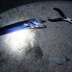 ちょっと刀狩り