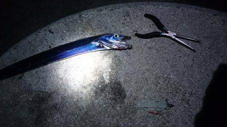 ちょっと刀狩り