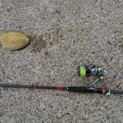 風まぁまぁでもエギング