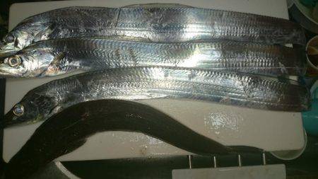 ロマン砲発射準備!