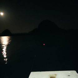 タチウオ行きました