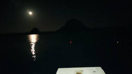 タチウオ行きました