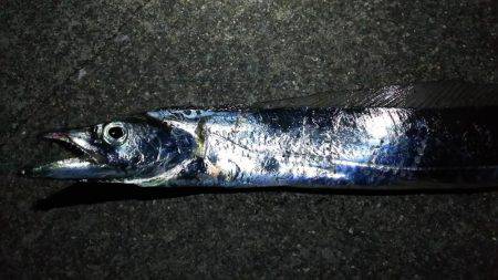 短時間ワインド