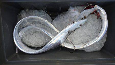 期待しすぎた結果