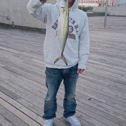 刀狩のはずが・・・