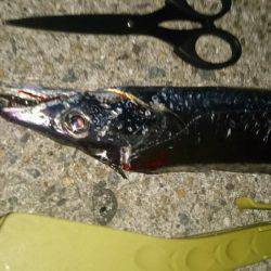 ガツンと来ない