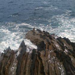 トップでイナダ