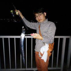 大蔵海岸でタチウオの引き釣り