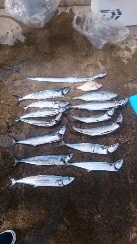 荒波に負けない！