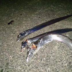 インターナショナルポイント