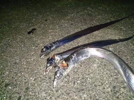 インターナショナルポイント