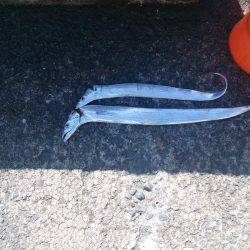 元はとれませんでした