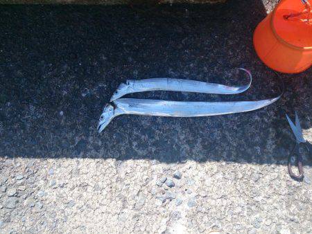 元はとれませんでした