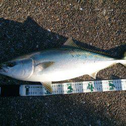 なめたらあかん♪