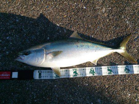 なめたらあかん♪