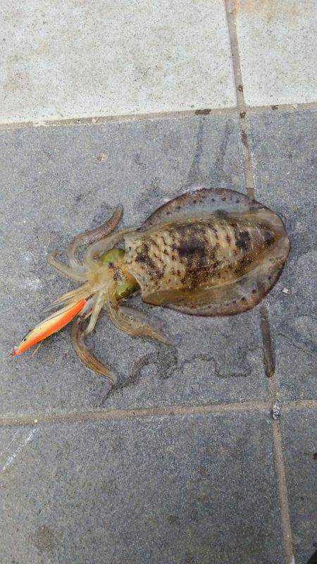 ポケモンGoの人々だらけ