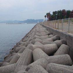 太刀魚釣り　淡路は空いてます