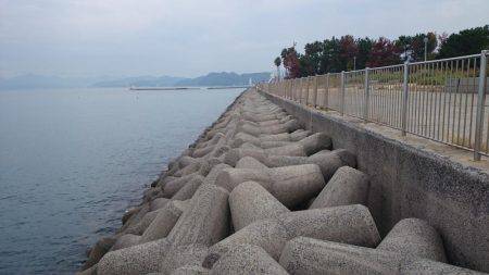 太刀魚釣り　淡路は空いてます
