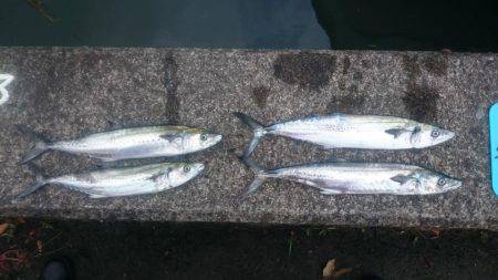 舞鶴湾内について