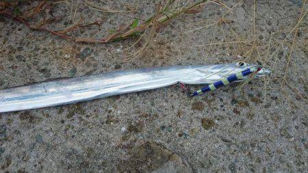 夕方は少し混みます