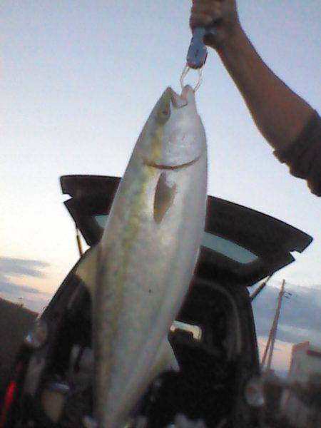 よく釣れてくれました