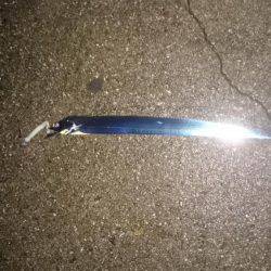 貝塚太刀魚、絶好調！