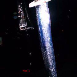 タチウオ のち サヨリ