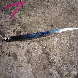 貝塚太刀魚狩り不調