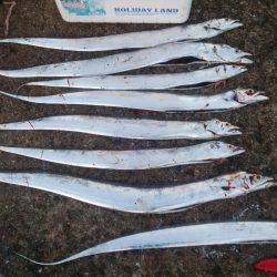 ドラゴンを求めて その2