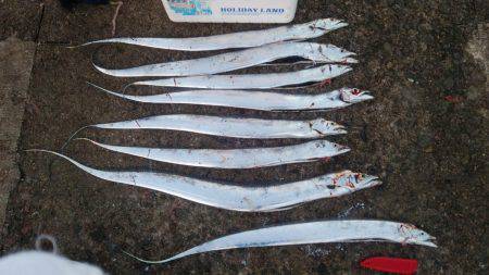 ドラゴンを求めて その2