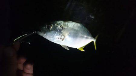 本命なんとかキャッチ!