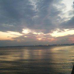 ドラゴン捕獲！