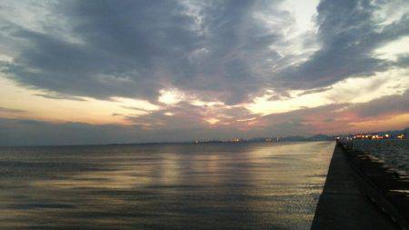 ドラゴン捕獲！