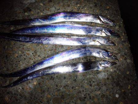 やっぱテンヤ最高