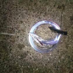 ポロポロと釣れる