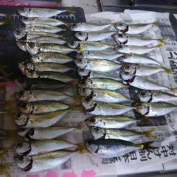 コアジ釣り